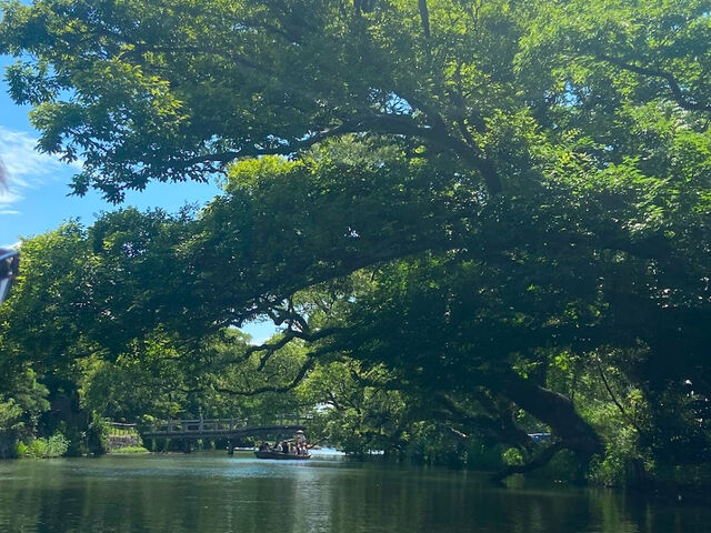 �쉺��̃R�[�X��1���Y��Ȍi�F�Ƃ̂��Ƃł����I_���M ���� �쉺��