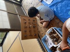 Ƃ̖Lcsǂ񂮂H[ւ̓eʐ^1