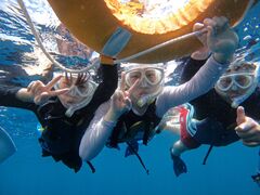 max̐Ί_}T[rX߂̉Ԃւ̓eʐ^1