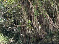 ܂悳̃u[tB[hւ̓eʐ^1