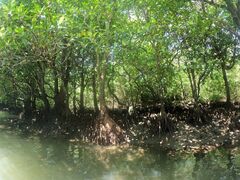 ₳̐Ί_ ADVENTURE PiPiւ̓eʐ^1