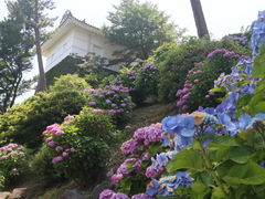 �c�{�ꂳ��̏��c����ւ̓��e�ʐ^1