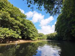 Ȃ䂳̐Ί_ ADVENTURE PiPiւ̓eʐ^1