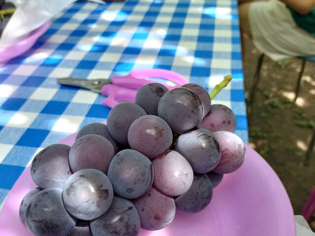 �����H�ו���_������