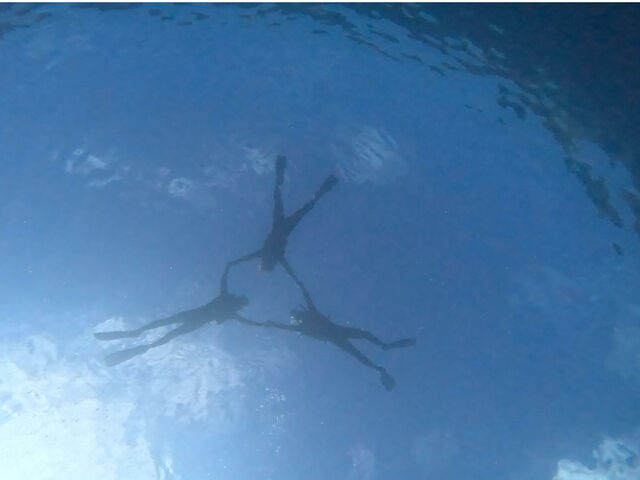 ��R�������������悩��؂���܂����[_�J�m�A�_�C�u Kanoa Dive