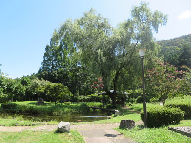 �ዷ�Z�����������@�뉀_�ዷ�Z����������