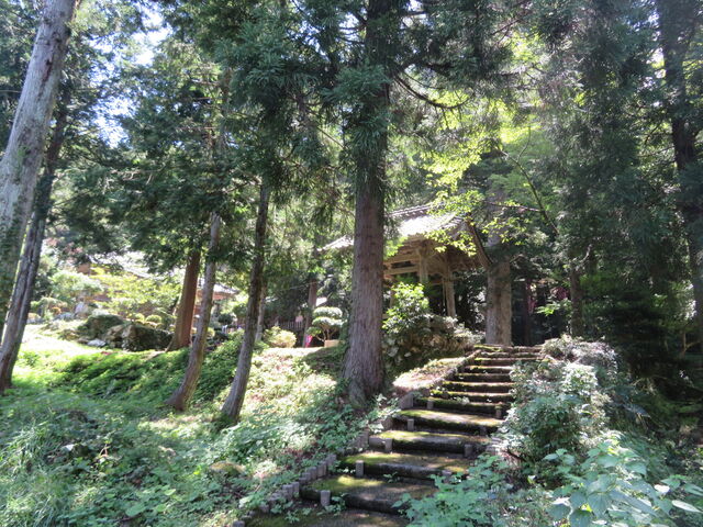 �ዷ�Z�����������@�V����_�ዷ�Z����������