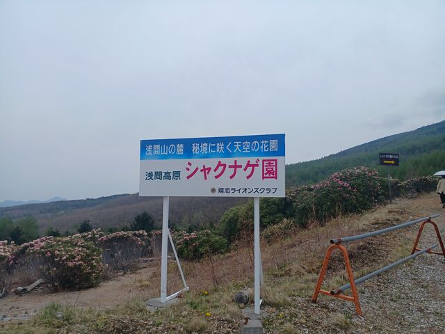 VNiQB
ԎR߂̂ŁAɂ͂Q̃VF^[܂_ԍVNiQ