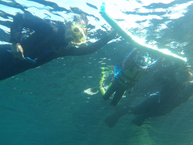 3lŃVm[POĂƂCXgN^[񂪐ʐ^BeĂ܂B_wCY_Cu