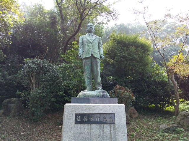 �ۂ�ۂ�����̐��ˌ����̓��e�ʐ^3