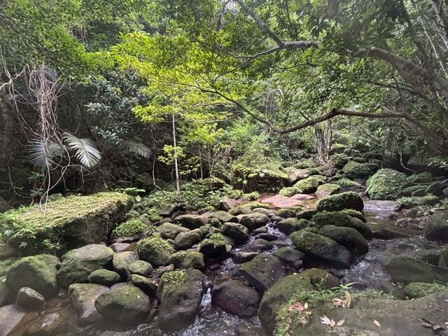 ���̂̂��P�̂悤�Ȑ��E��
���ꂪ����̂ŋC�����܂��傤�I
�n�u�����邱�Ƃ�^ ^�A�A_������Ѓj���C�i�z���f�C�Y