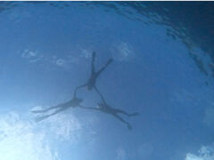 ͂̃JmA_Cu Kanoa Diveւ̓eʐ^1