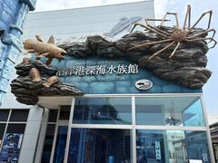 mi-ryusei-hȍÍ`[Cف`V[JXE~[WA`ւ̓eʐ^1