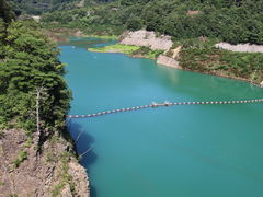 �N�}�ۂ񂳂�̉��l���΂ւ̓��e�ʐ^1