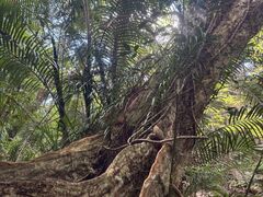 悵̊ЃjCizfCYւ̓eʐ^4