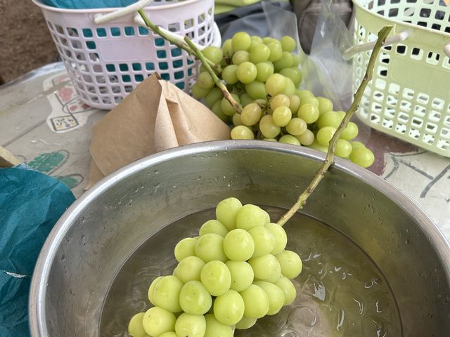 ����Ȃɑ傫�ȕX������̃{�[���ł�����B_�܂ق�t�@�[��