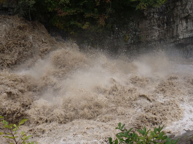 ���ɓ{��_�O�i��