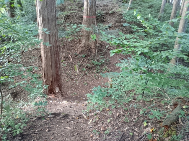 ��x_������Ձi���쌧�ؑ]���j