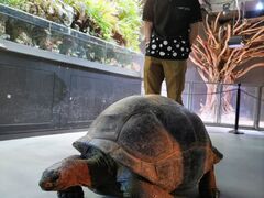 AQUARIUM~ART atoa̎ʐ^1