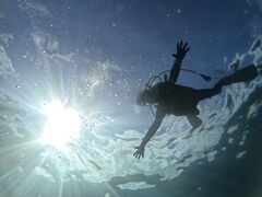 re7̃}T[rXނʁ[ւ̓eʐ^1