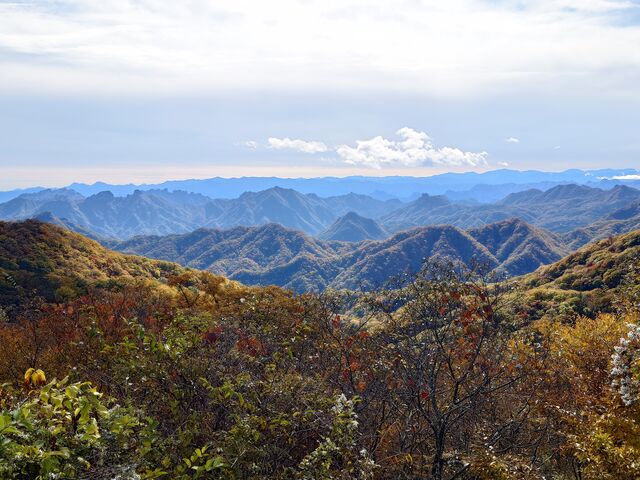 Wꏊ̌䂩疭`A_ʎВc@l@sό@\