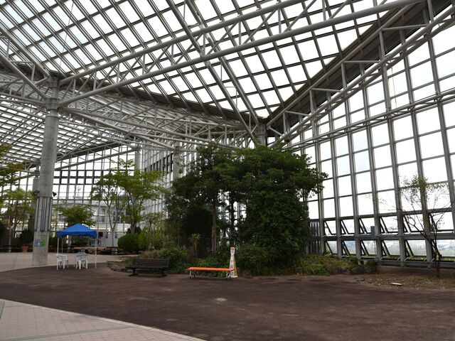 ٓ͂ƂĂYɐĂāAqBV΂ɂSƎv܂B_ZIX^