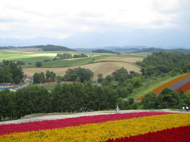 �l�G�ʂ̋u_�l�G�ʂ̋u