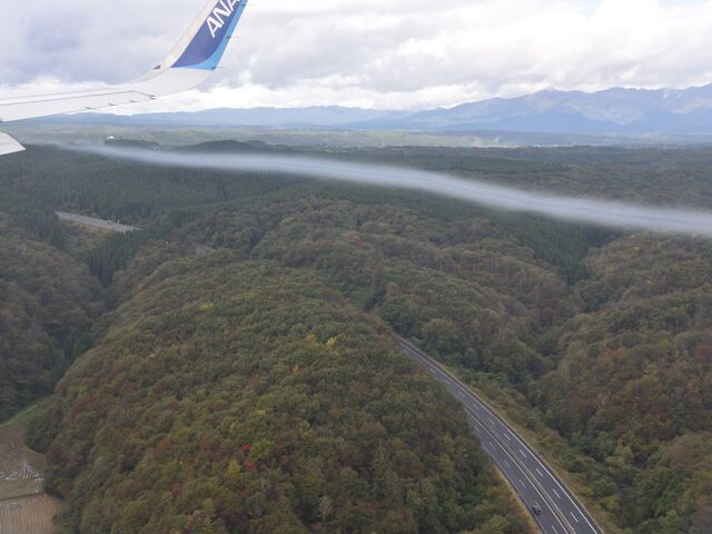 Hc`ɓłA؁XFtYłB_Hc`