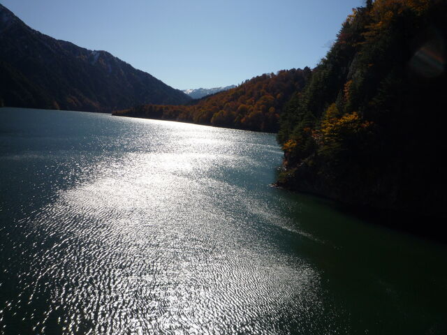 �ΖʂɌ�������_������