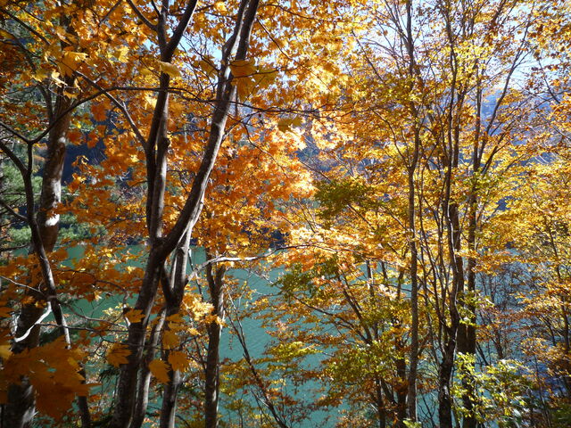 �U���H�̍g�t_������