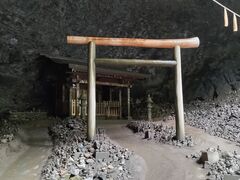 �Ղ���񂳂�̓V���͌��ւ̓��e�ʐ^1