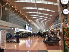 ���ʂ�����̉H�c��`�i�������ۋ�`�j�ւ̓��e�ʐ^1