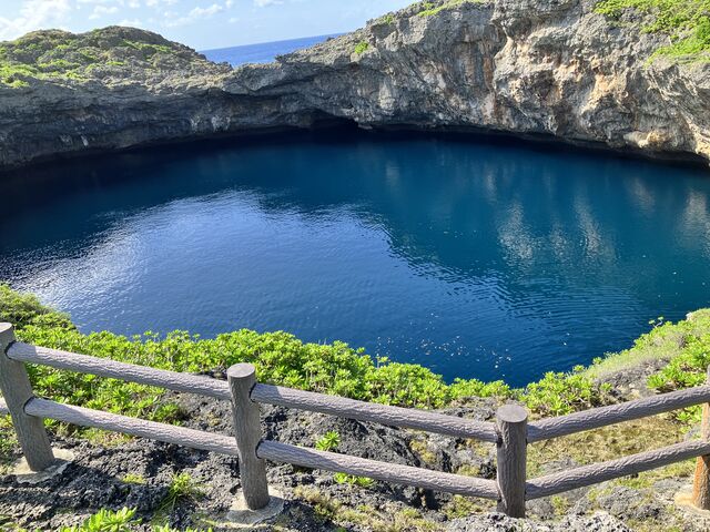 �C�̒��̒r�ł���[_�ʂ�r