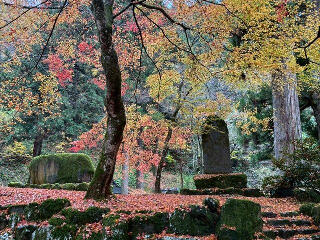 �g�t���Y��_�����@��{�R�i����