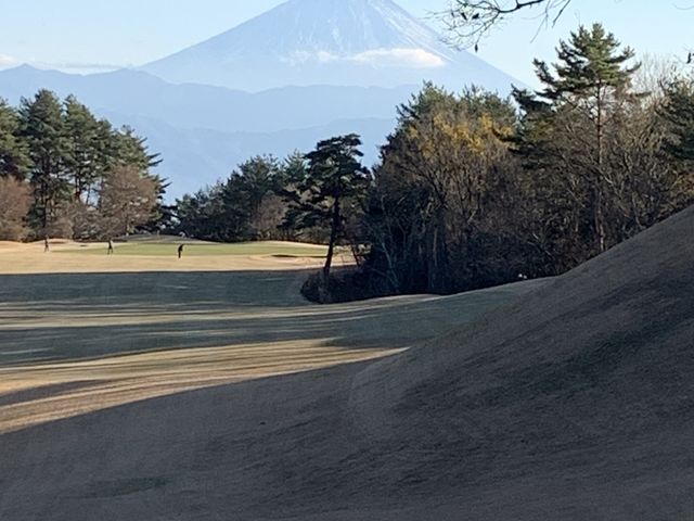 �ǂ��ˁ[_�~���J���g���[��y��