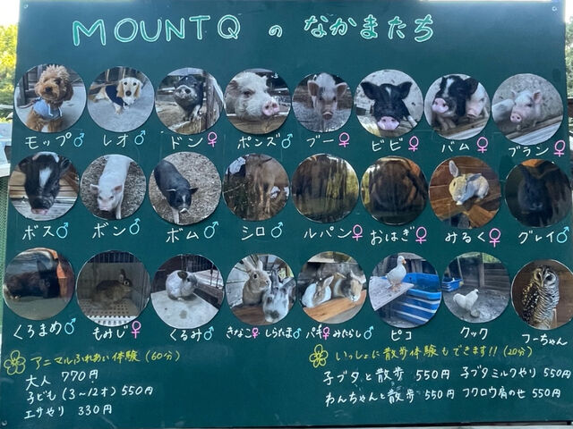 ��������̓����B_MOUNTQ