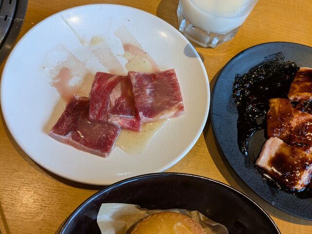 ���B����̏ē����񂮁@�앟���X�̓��e�ʐ^2