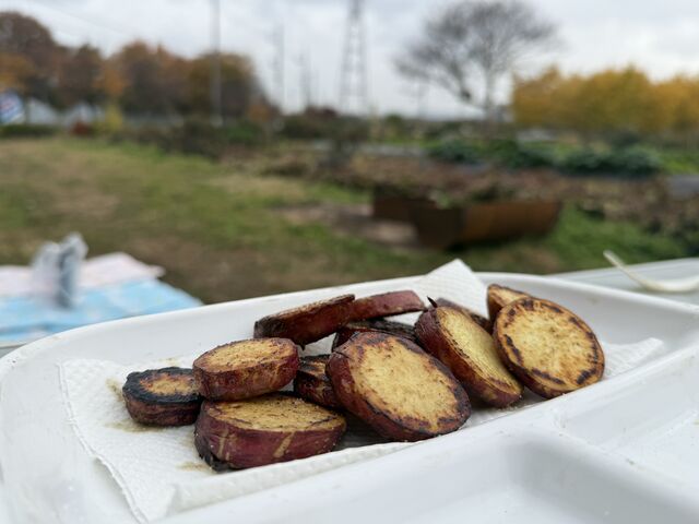 ������������_���񂳂񎩑R�_��