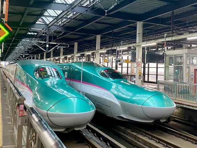 E5�n�̑�������_�����w