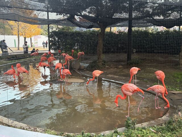 �P�{��_��쓮���� �t���~���S��