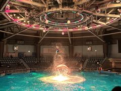 �}�N�Z�� �A�N�A�p�[�N�i��̎ʐ^1