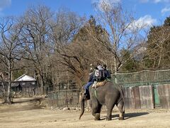 ��������̓ߐ{�T�t�@���p�[�N�ւ̓��e�ʐ^1