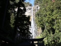 那智の滝（那智大滝）の写真一覧 - じゃらんnet
