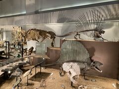 eno����̍����Ȋw�����قւ̓��e�ʐ^1