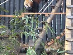 ��쓮�����̎ʐ^2