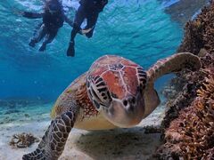 �Ȃ�����񂳂�̋{�Ó� ADVENTURE PiPi�ւ̓��e�ʐ^1