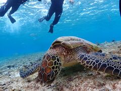 ��������̋{�Ó� ADVENTURE PiPi�ւ̓��e�ʐ^1