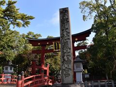 ���ʂ�����̟���_�{�ւ̓��e�ʐ^1