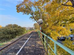 kitty����̓V���l���ΓS���ւ̓��e�ʐ^1