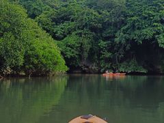 Ί_̃Jk[̌@炮`̎ʐ^1